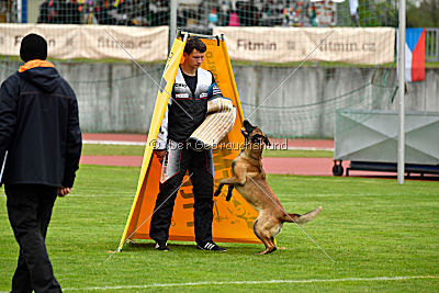 Safft Security's Coxie