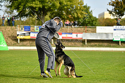 Sallie vom Haus Dexel