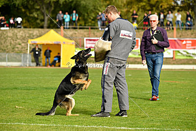 Sallie vom Haus Dexel