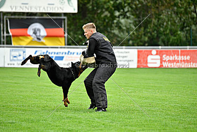 Sancho von der Pulvermühle