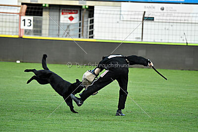 Sari von der Sigisliebe