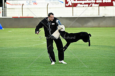 Sari von der Sigisliebe