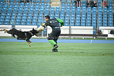 Sato European K9 training Base