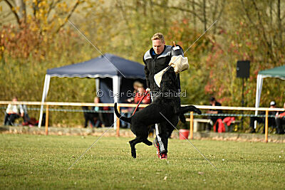 Saturain Stand by Me