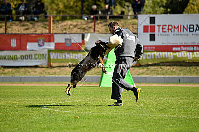 Schlumpfine vom Grenzlager