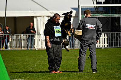 Schlumpfine vom Grenzlager