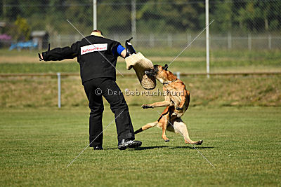 Schmidtchen Schleicher von der Steinteichmühle