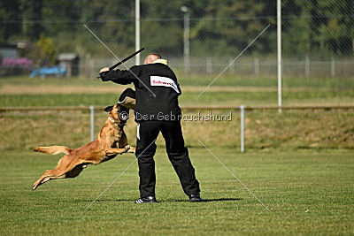 Schmidtchen Schleicher von der Steinteichmühle