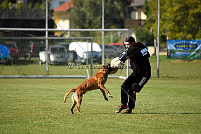 Schmidtchen Schleicher von der Steinteichmühle