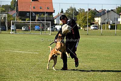 Schmidtchen Schleicher von der Steinteichmühle
