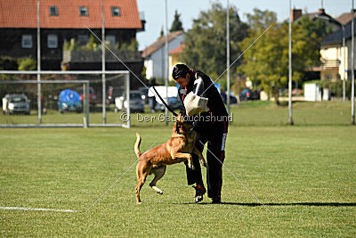 Schmidtchen Schleicher von der Steinteichmühle