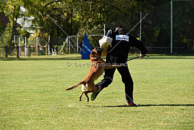 Schmidtchen Schleicher von der Steinteichmühle
