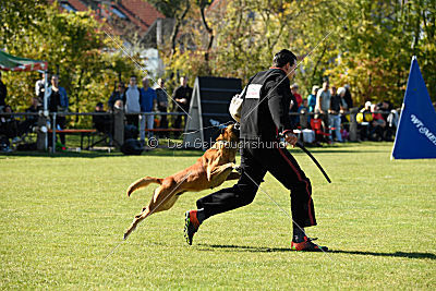 Schmidtchen Schleicher von der Steinteichmühle