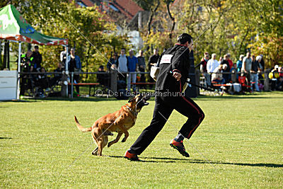 Schmidtchen Schleicher von der Steinteichmühle