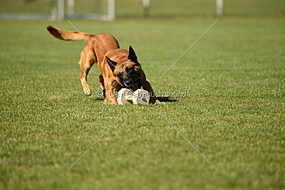 Schmidtchen Schleicher von der Steinteichmühle