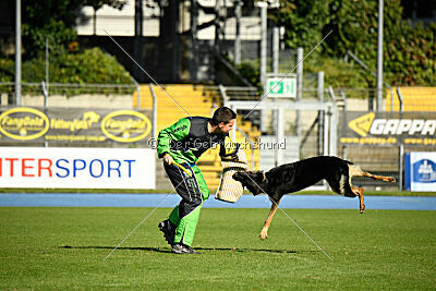 Schrauber's Apex Predator