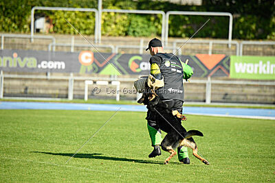 Schrauber's Apex Predator