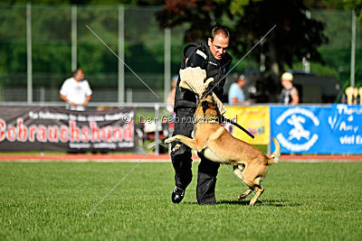 Serro de l'origine de faucon rouge