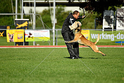 Serro de l'origine de faucon rouge