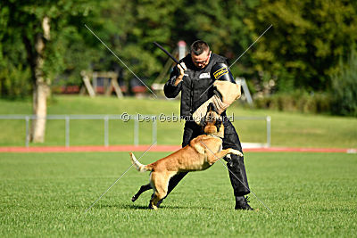 Serro de l'origine de faucon rouge