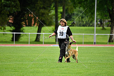 Serro de l'origine de faucon rouge