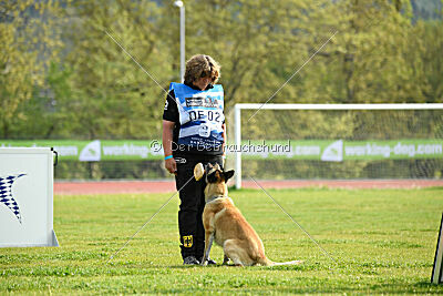 Serro de l'origine de faucon rouge
