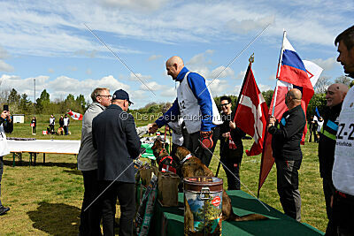 Siegerehrung, Victory Ceremony