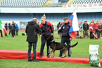 Siegerehrung, Victory Ceremony