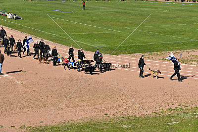 Siegerehrung, Victory Ceremony