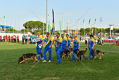 Siegerehrung, Victory Ceremony