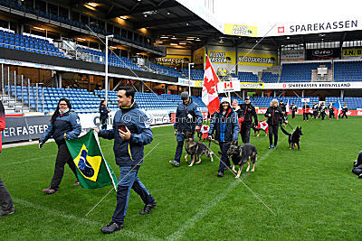 Siegerehrung, Victory Ceremony