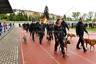 Siegerehrung, Victory Ceremony