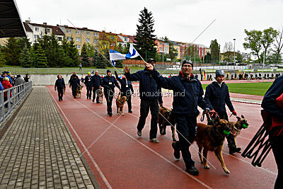 Siegerehrung, Victory Ceremony