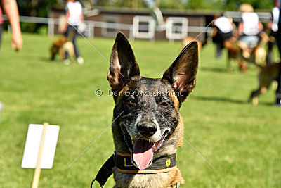 Siegerehrung, Victory Ceremony