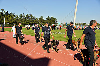 Siegerehrung, Victory Ceremony