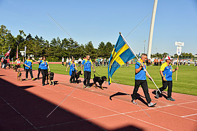 Siegerehrung, Victory Ceremony