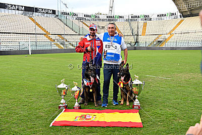 Siegerehrung, Victory Ceremony