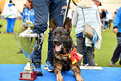 Siegerehrung, Victory Ceremony
