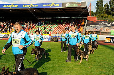 Siegerehrung, Victory ceremony