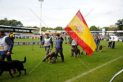 Siegerehrung, Victory ceremony