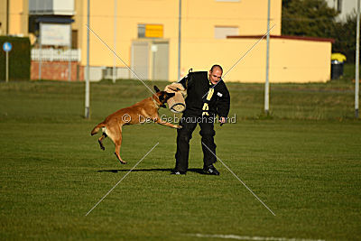Sky de l'origine de Faucon Rouge