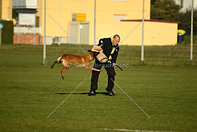 Sky de l'origine de Faucon Rouge