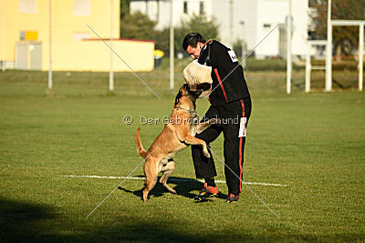 Sky de l'origine de Faucon Rouge