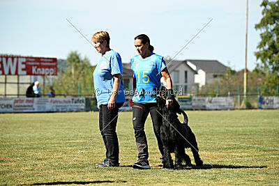 Spider Silas Goldest Danubius