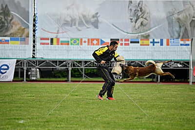 Spitting Fire's Carbono