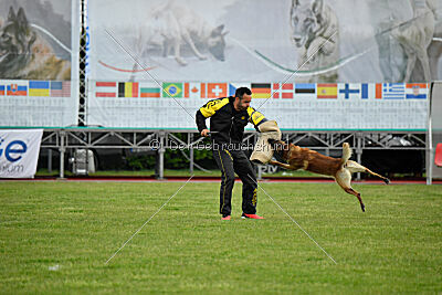 Spitting Fire's Carbono