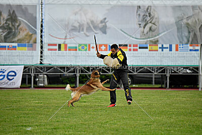 Spitting Fire's Carbono