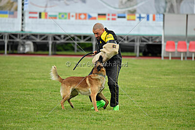 Spitting Fire's Carbono