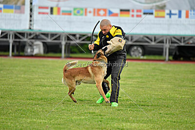 Spitting Fire's Carbono