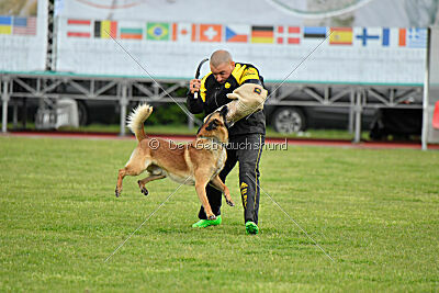 Spitting Fire's Carbono